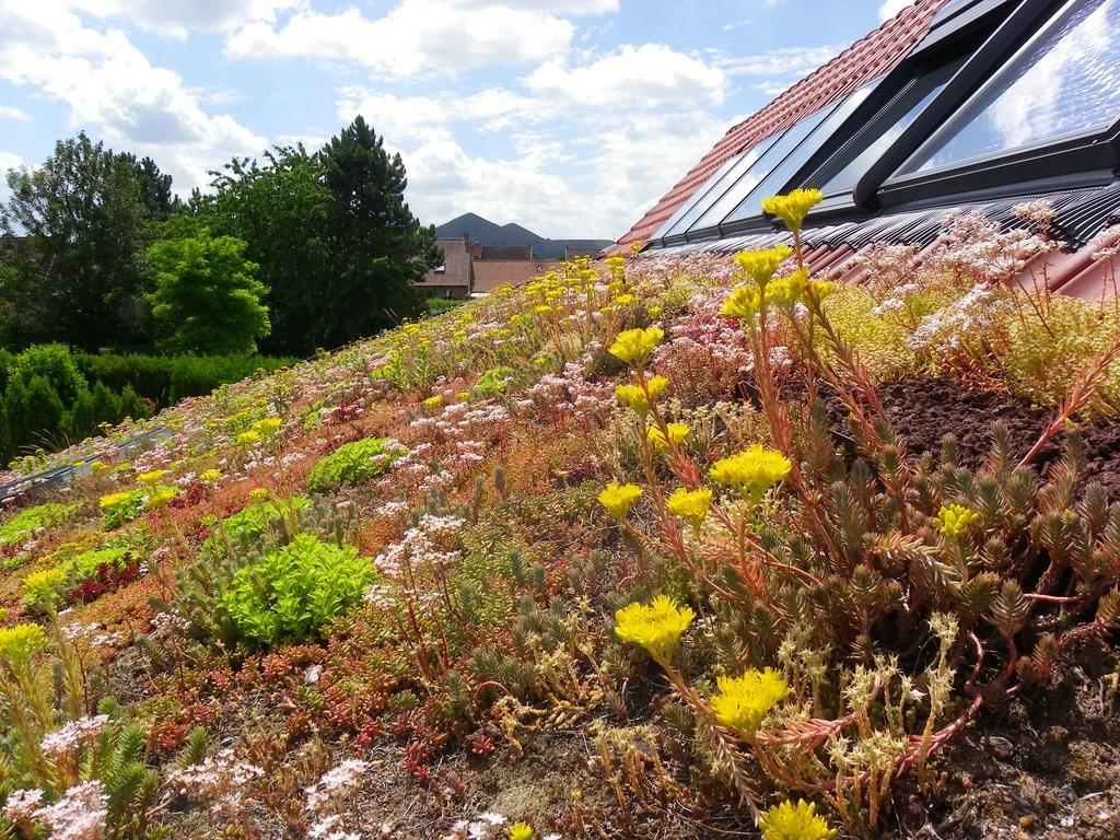 Fleur De Ciel Villa Loos-en-Gohelle Buitenkant foto