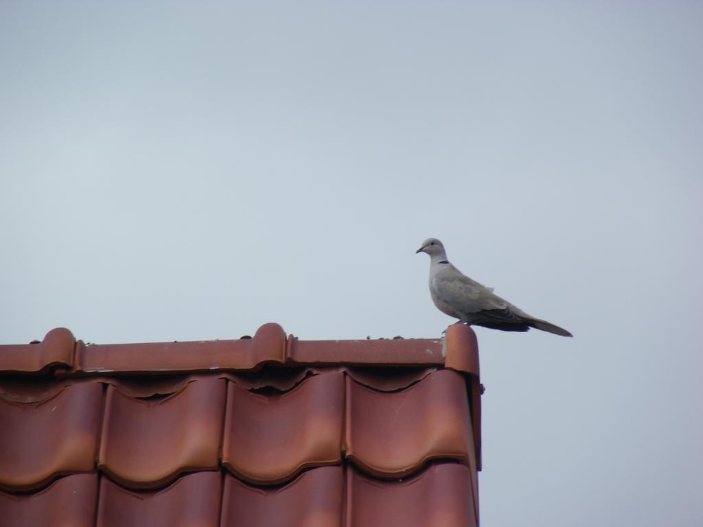 Fleur De Ciel Villa Loos-en-Gohelle Buitenkant foto
