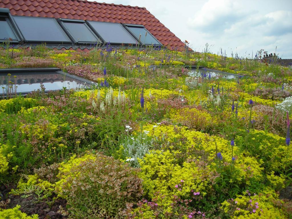 Fleur De Ciel Villa Loos-en-Gohelle Buitenkant foto